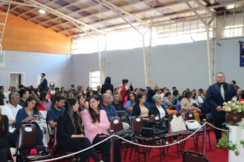 Licenciatura de los Octavos Años Básicos