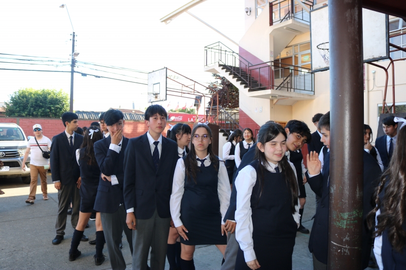 Licenciatura de los Octavos Años Básicos