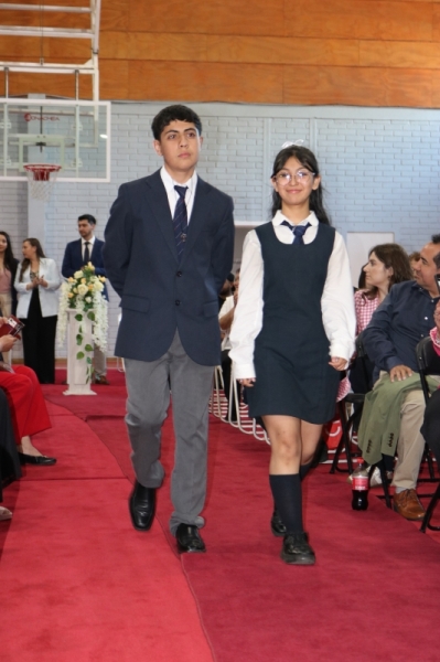 Licenciatura de los Octavos Años Básicos