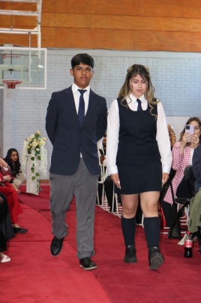 Licenciatura de los Octavos Años Básicos