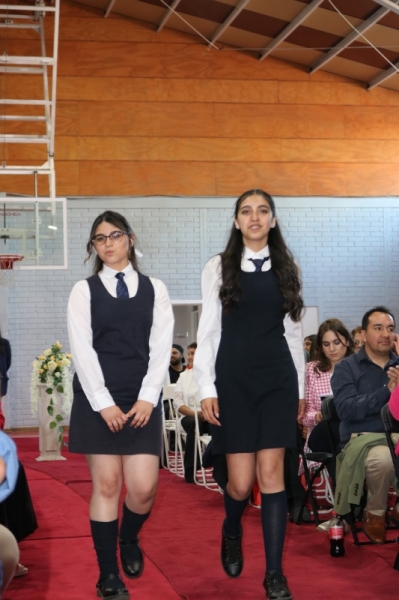 Licenciatura de los Octavos Años Básicos