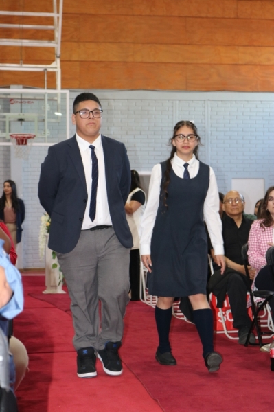 Licenciatura de los Octavos Años Básicos