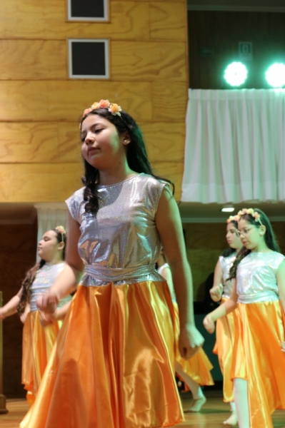 Licenciatura de los Octavos Años Básicos