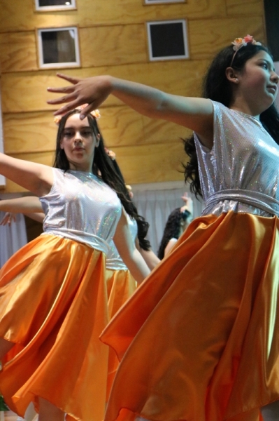 Licenciatura de los Octavos Años Básicos