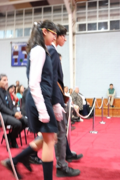 Licenciatura de los Octavos Años Básicos