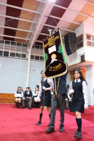 Licenciatura de los Octavos Años Básicos