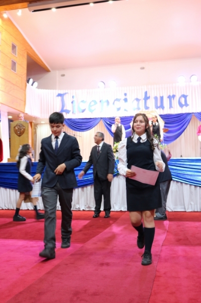 Licenciatura de los Octavos Años Básicos