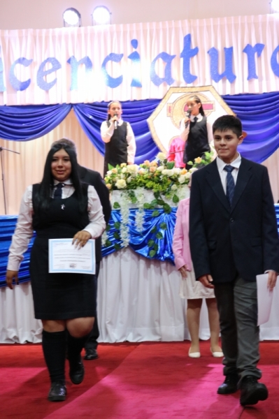 Licenciatura de los Octavos Años Básicos