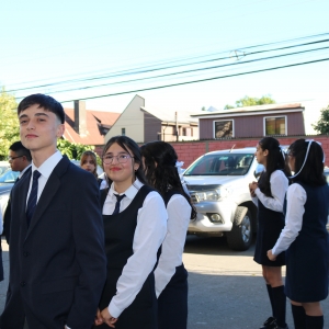 Licenciatura de los Octavos Años Básicos