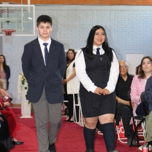 Licenciatura de los Octavos Años Básicos