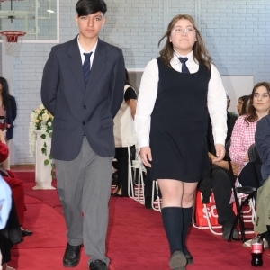 Licenciatura de los Octavos Años Básicos