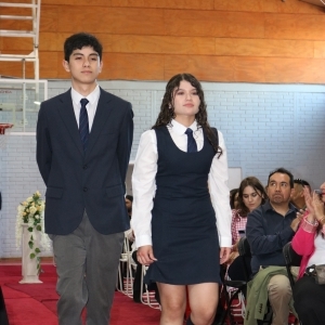 Licenciatura de los Octavos Años Básicos