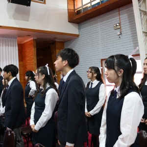 Licenciatura de los Octavos Años Básicos