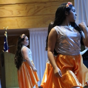 Licenciatura de los Octavos Años Básicos