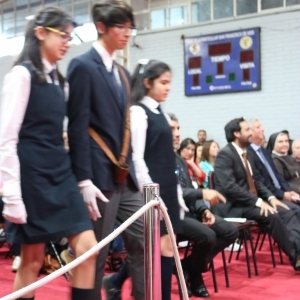 Licenciatura de los Octavos Años Básicos