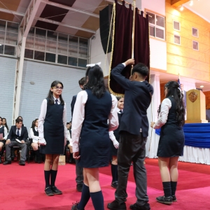 Licenciatura de los Octavos Años Básicos