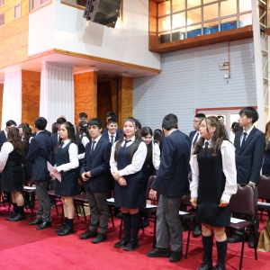 Licenciatura de los Octavos Años Básicos