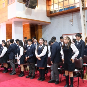 Licenciatura de los Octavos Años Básicos