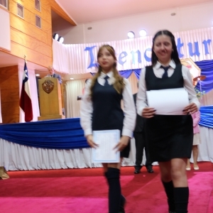 Licenciatura de los Octavos Años Básicos